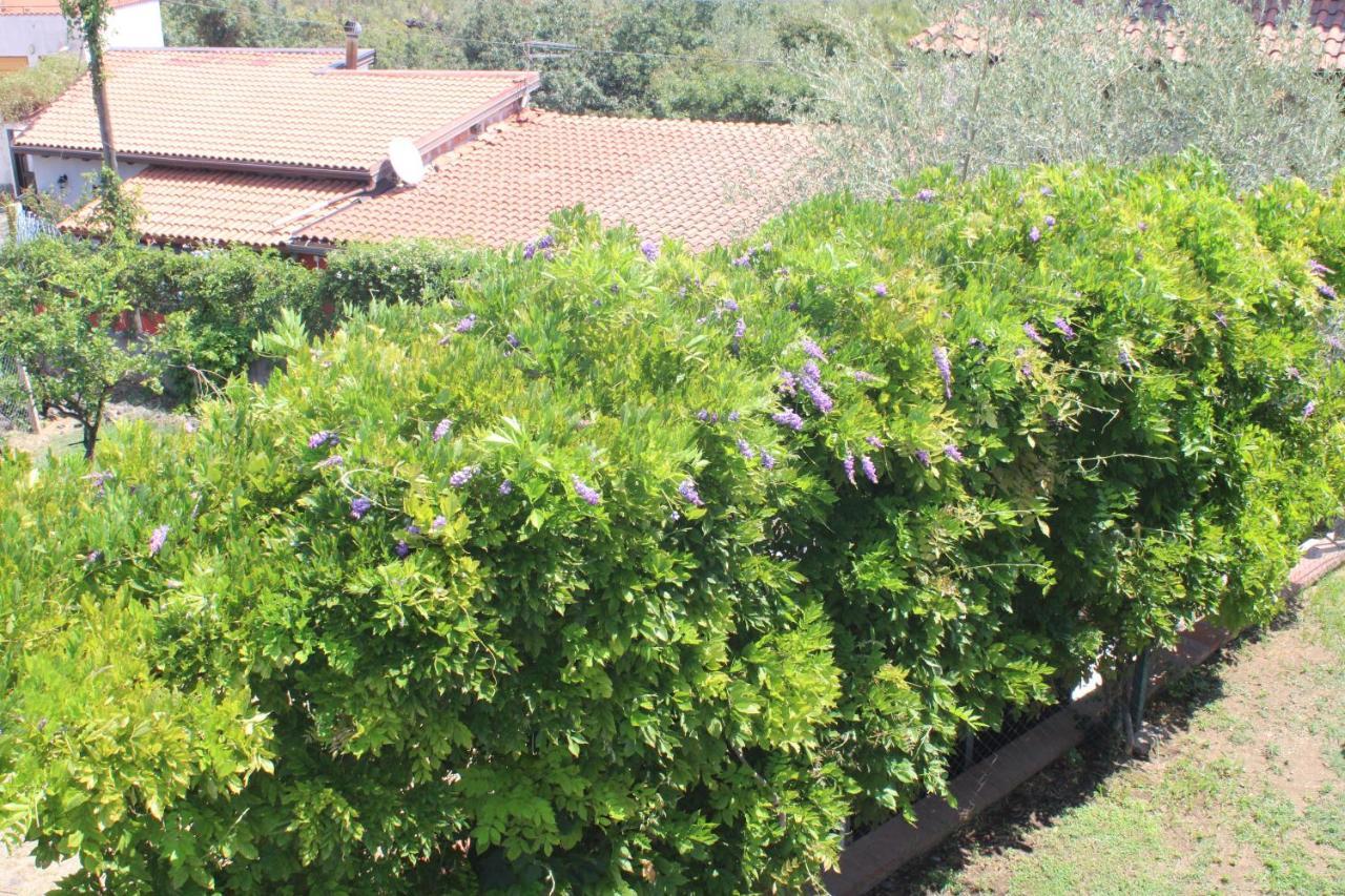 Villa Sicilia Apartment Катания Екстериор снимка